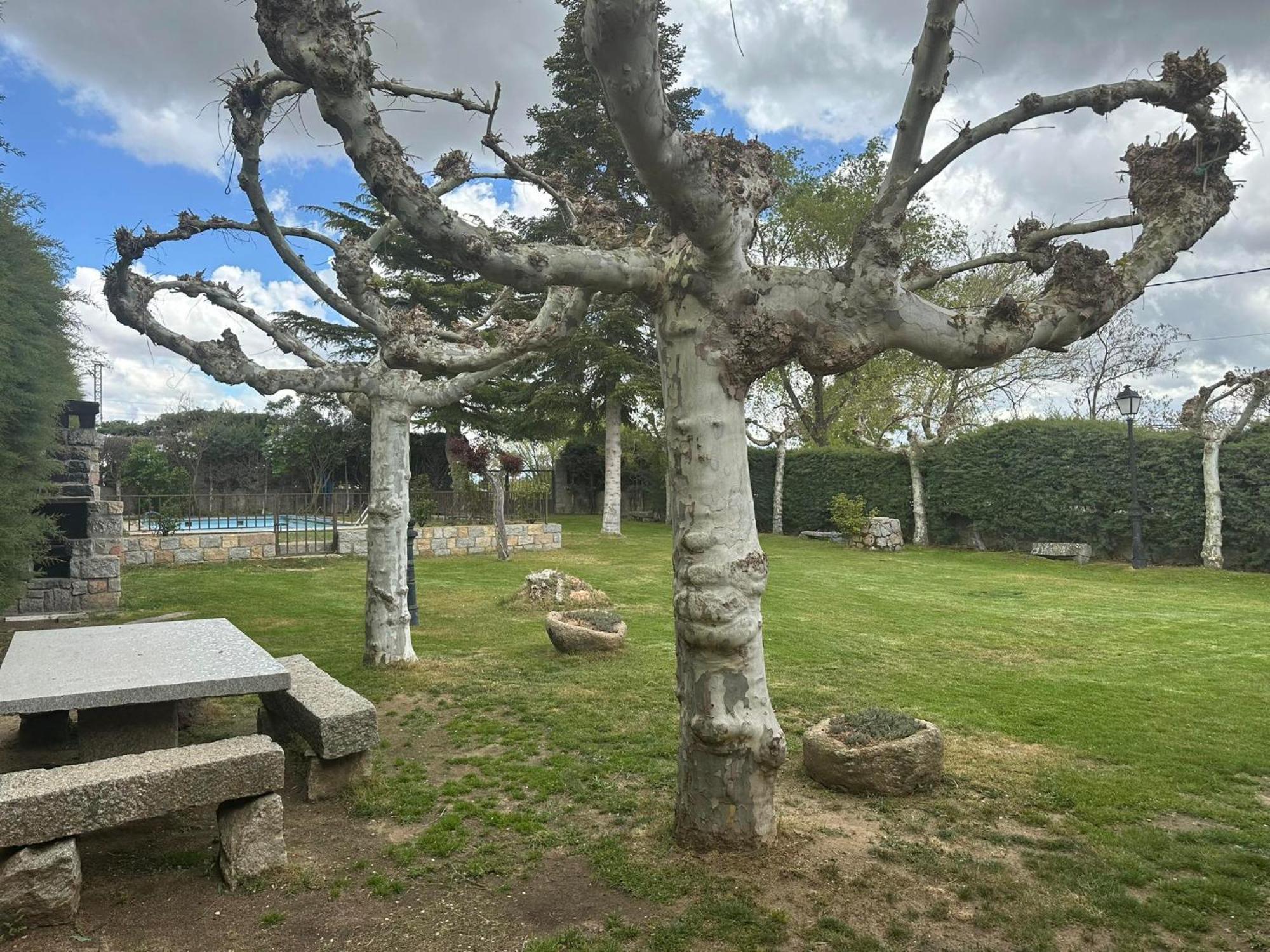 Casa Rural El Cordel La Serrada Екстер'єр фото